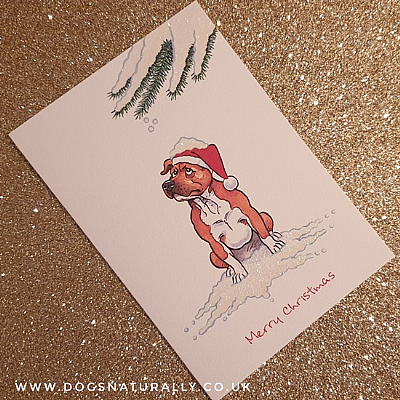 Staffie Christmas Card (Flitter Range)
